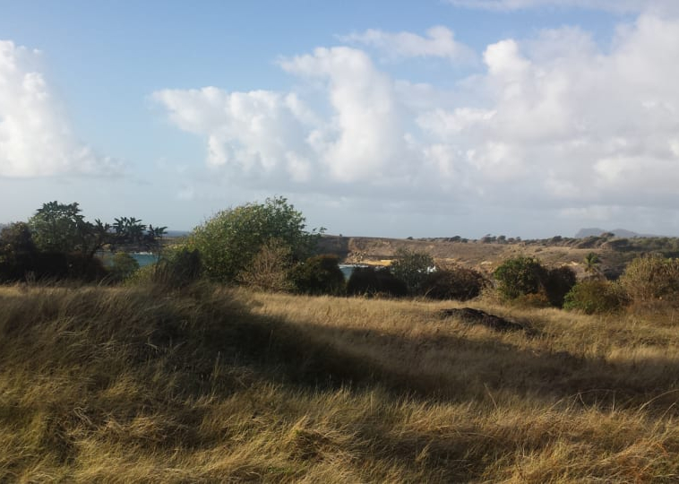 CANELLES LAND NO 96