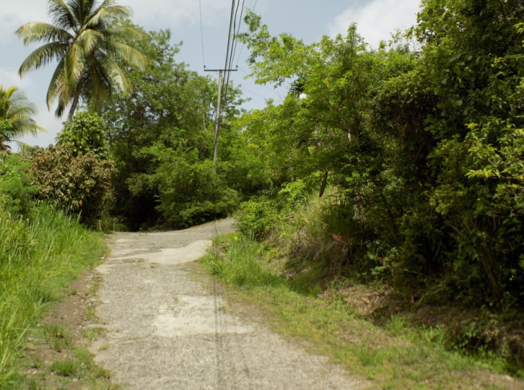 marigot bay land