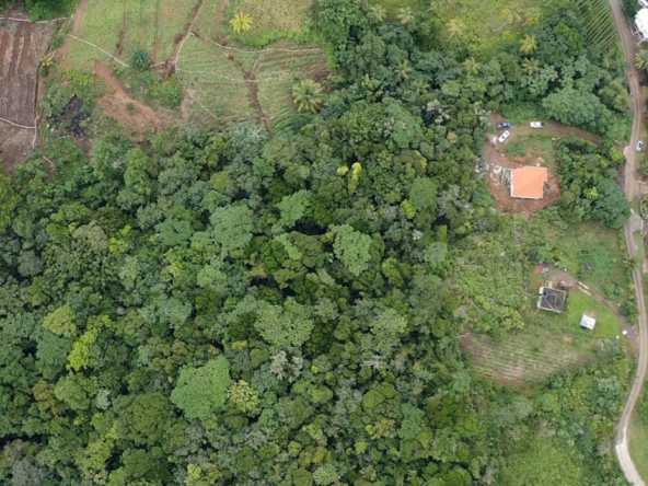 Boguis Land Parcel 504