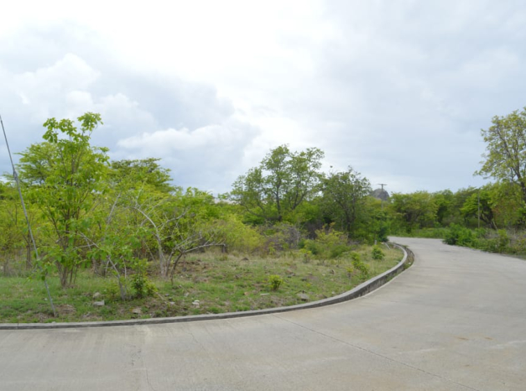 Concept Holding Lot 4B