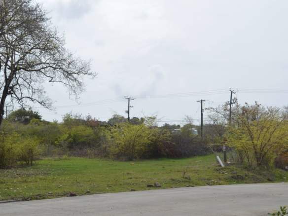 Concept Holding Lot 4A