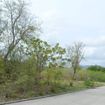 Concept Holding Lot 5