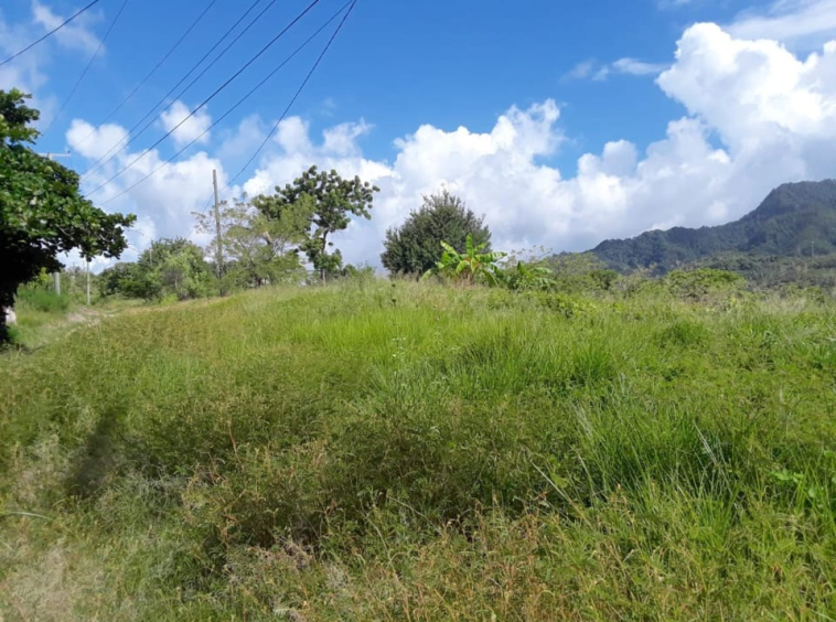 Brigand Hill Land For Sale