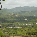 Land For Sale at June Street Cap Estate