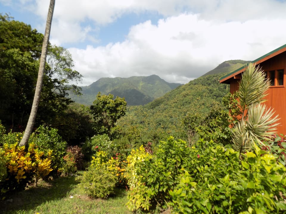 caribbean real estate mountain